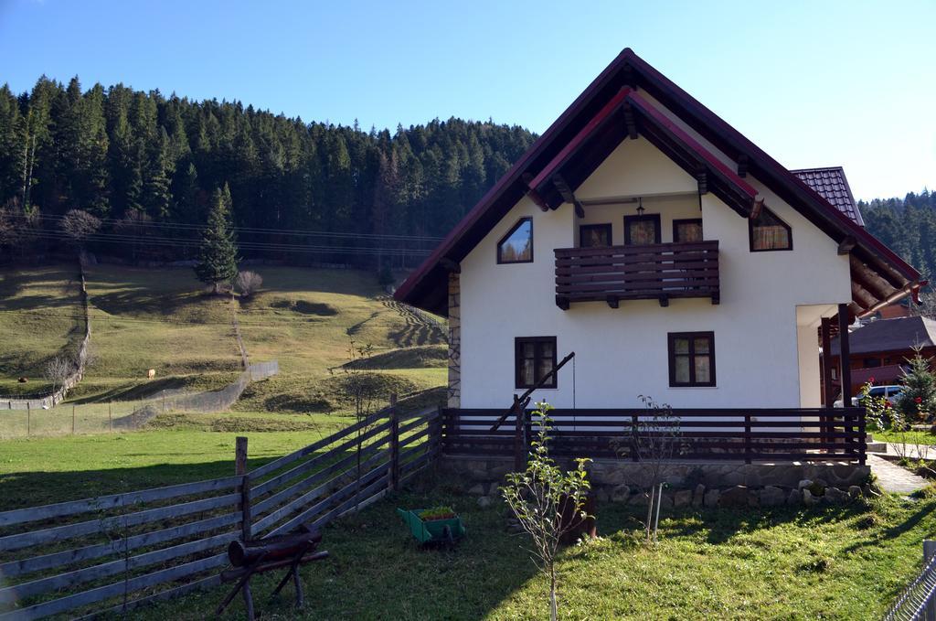 Pensiunea Daria Putna Exterior photo